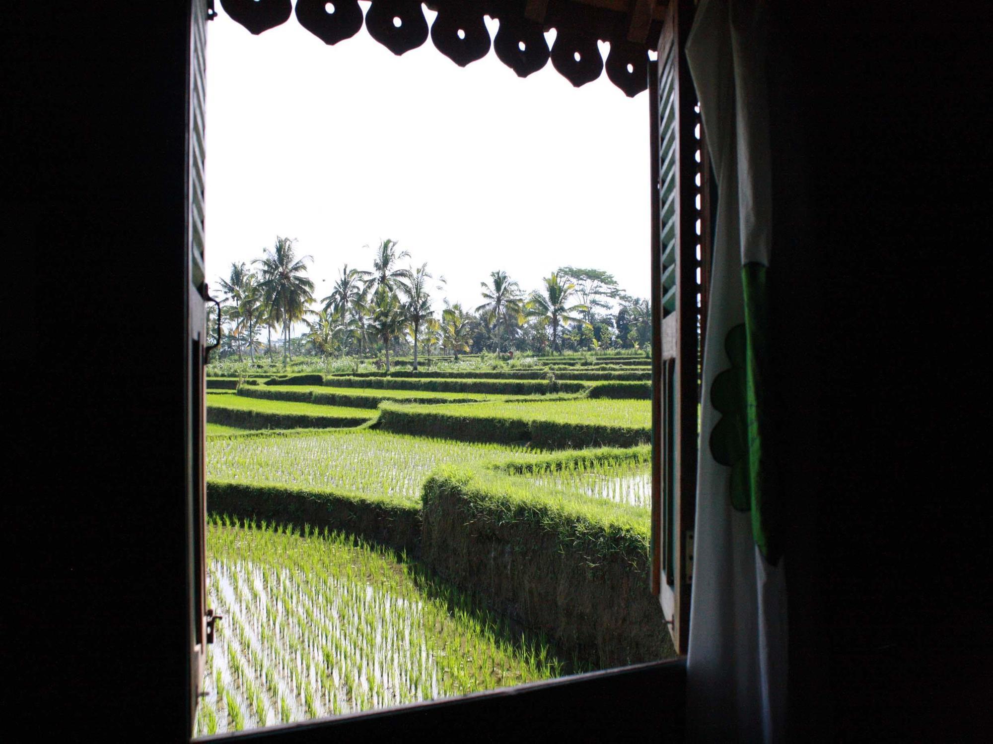 Hati Padi Cottages Ubud Buitenkant foto