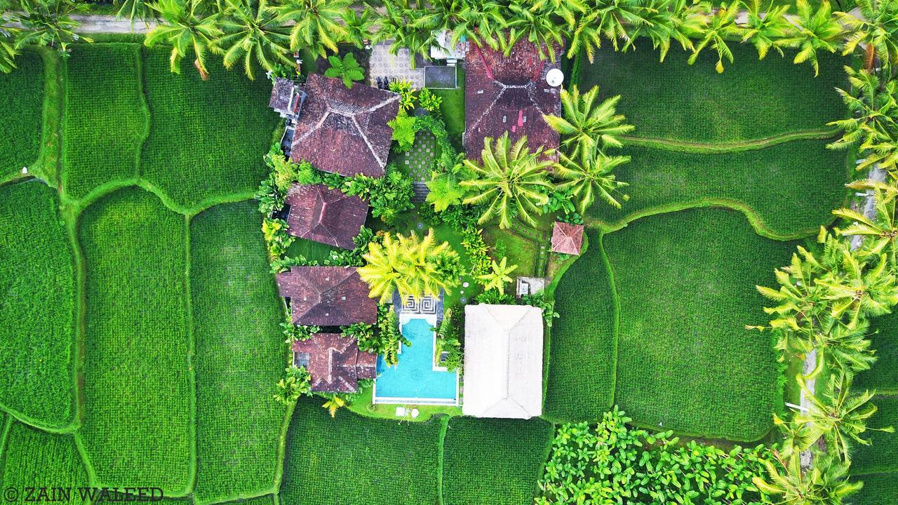 Hati Padi Cottages Ubud Buitenkant foto