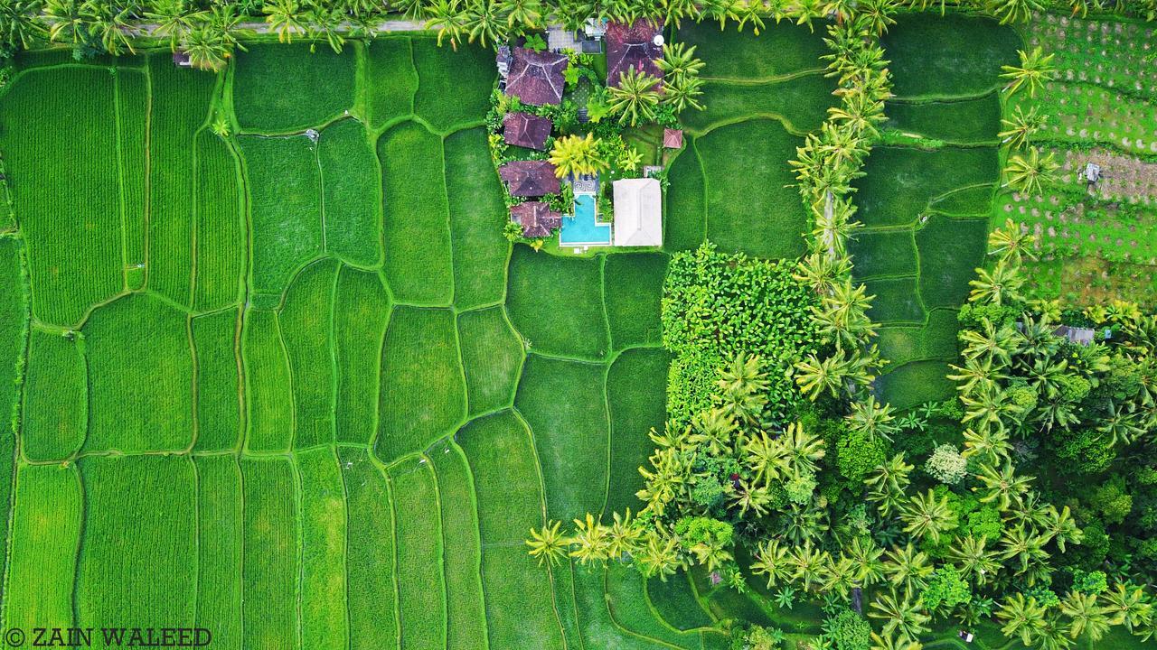 Hati Padi Cottages Ubud Buitenkant foto