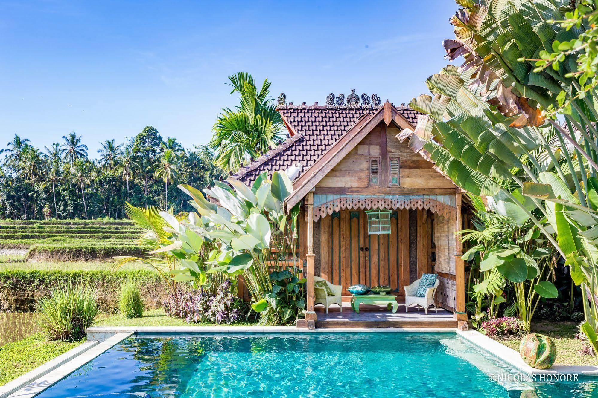 Hati Padi Cottages Ubud Buitenkant foto