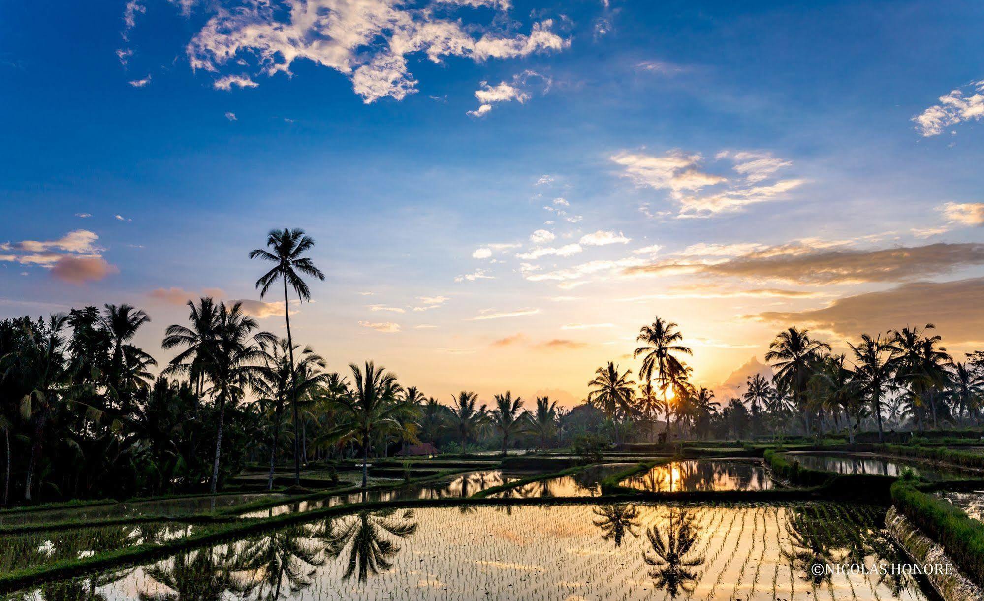 Hati Padi Cottages Ubud Buitenkant foto