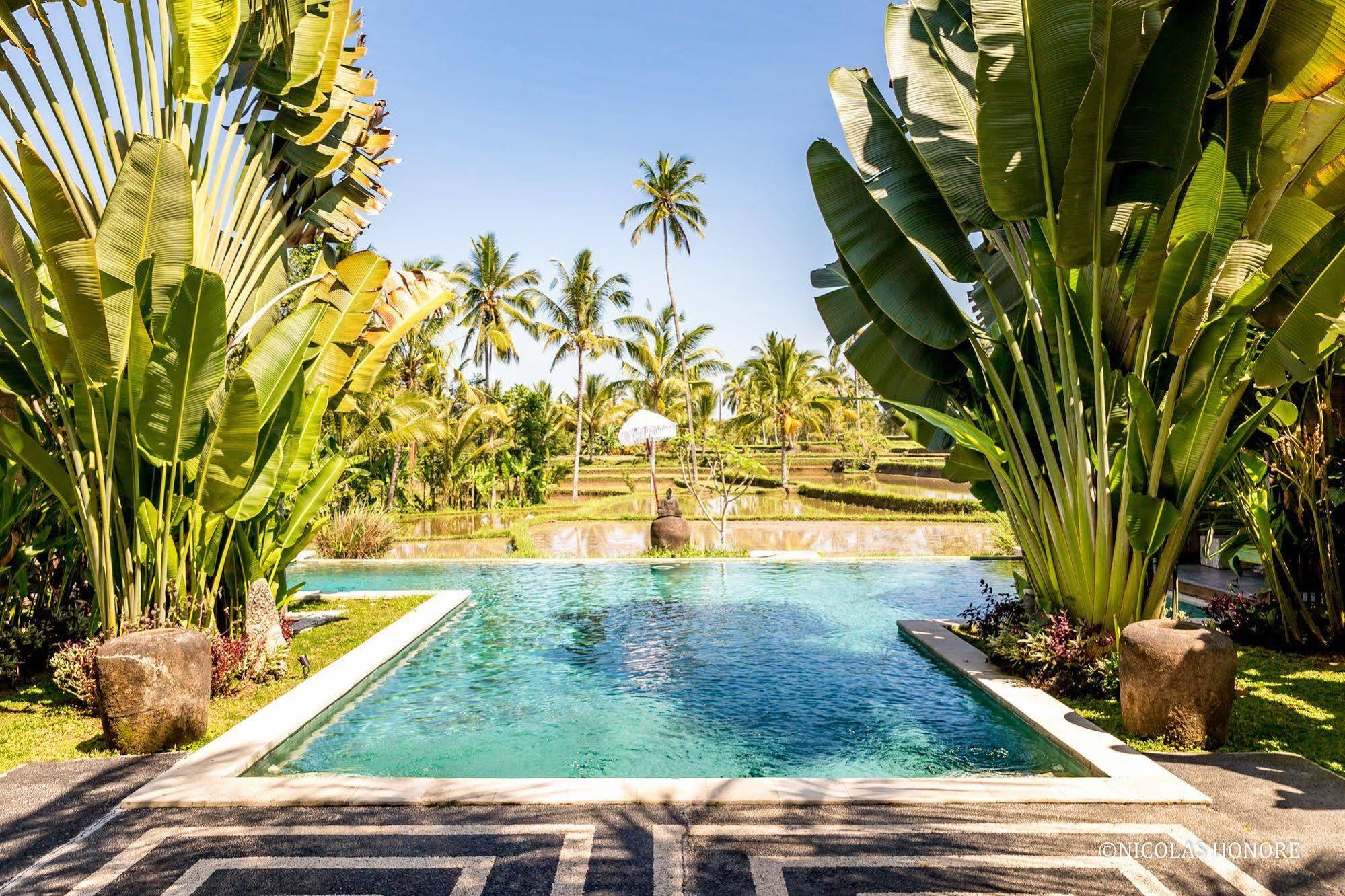 Hati Padi Cottages Ubud Buitenkant foto